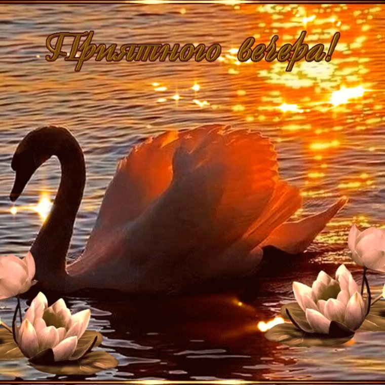 Приятного летнего вечера