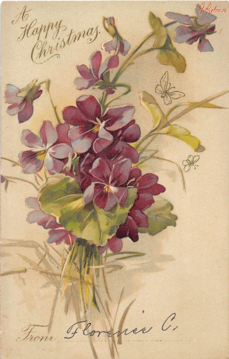 Катарина Кляйн Клевер