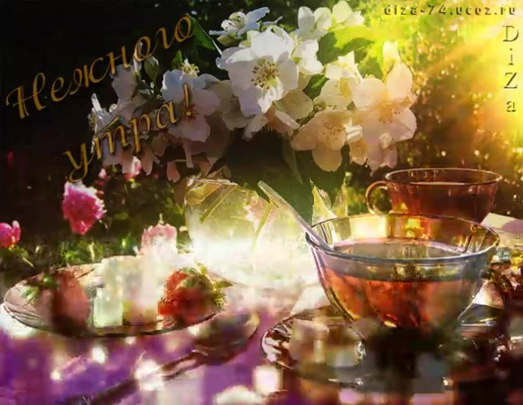 Волшебного утра и чудесного