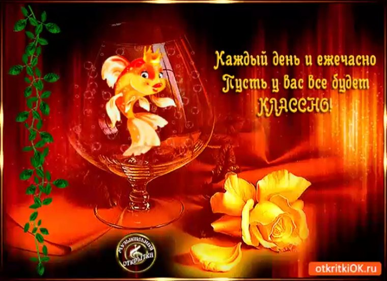 Добрые пожелания на каждый день гифки