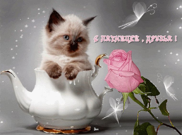 Открытки хорошего дня