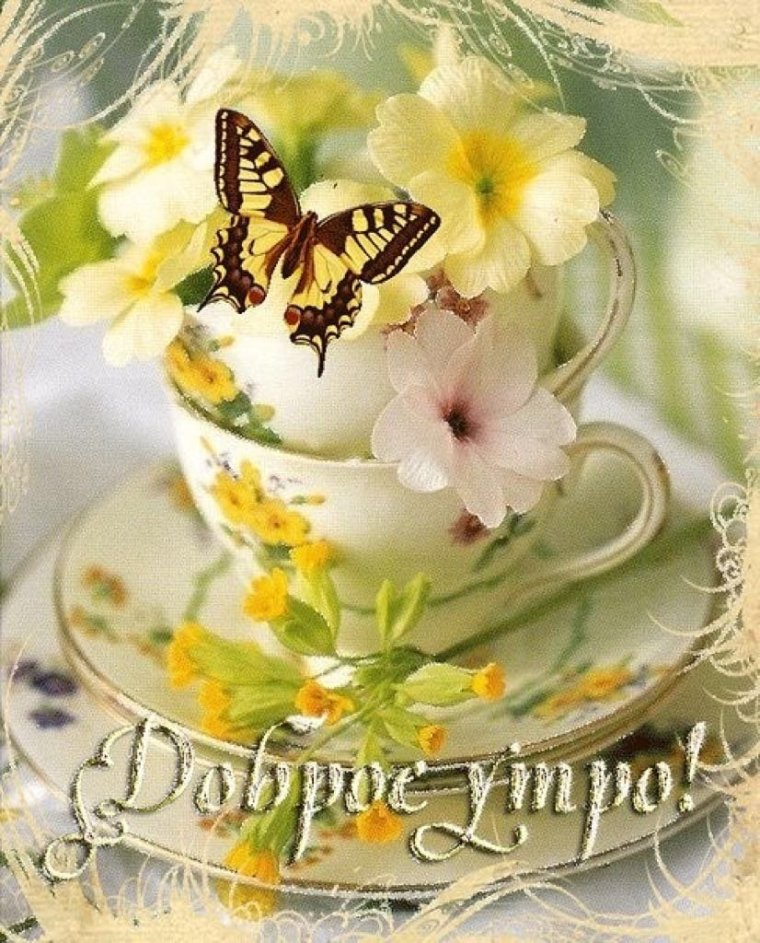 Открытки с добрым утром