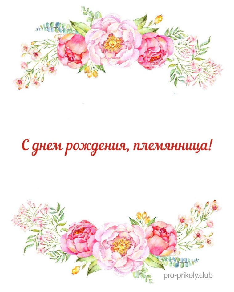Розовые розы