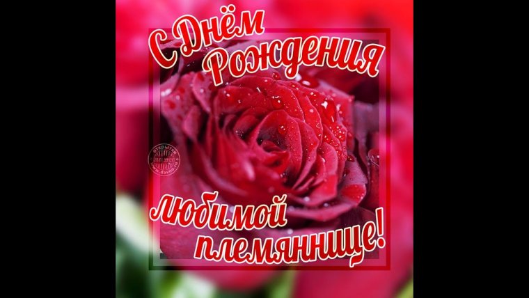 Поздравления с днём рождения