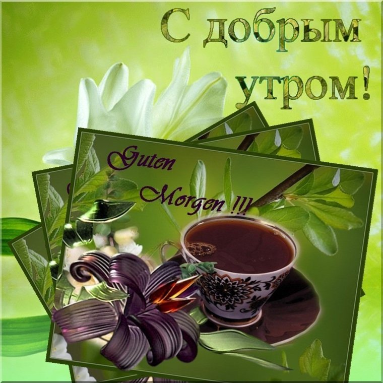 Ликрвтка с добрым утром