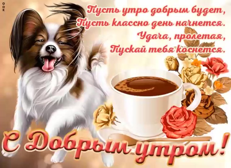 Пожелания с добрым утром и хорошего дня прикольные