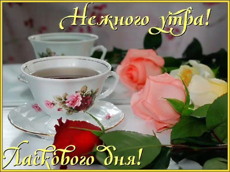 Доброго нежного утречка и хорошего дня