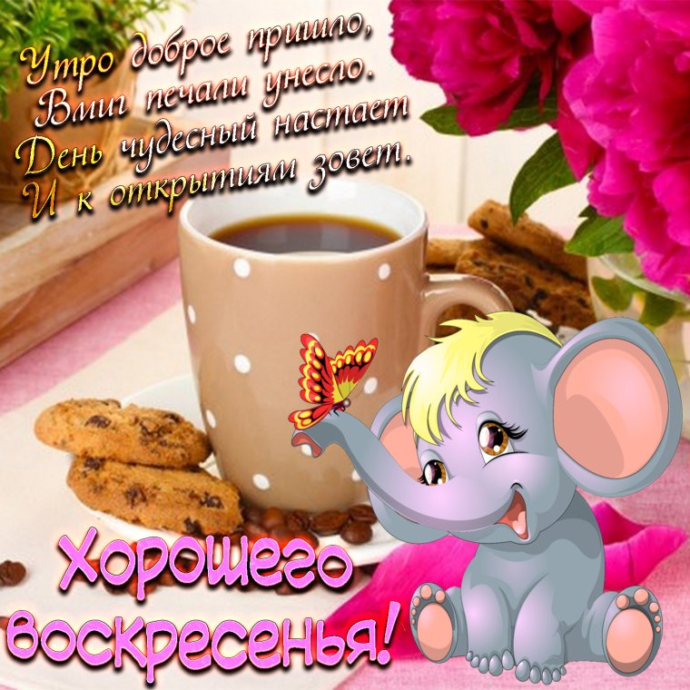 Открытки с добрым утром воскресенья
