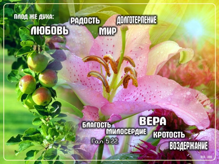 Открытки с библейскими пожеланиями