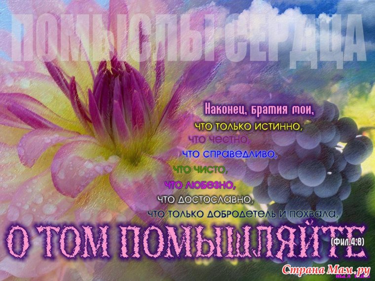 Открытки с Цитатами из Библии