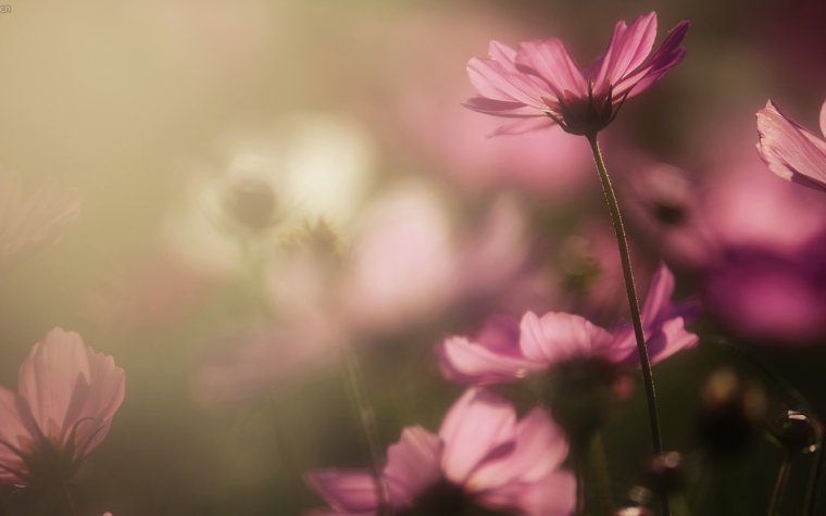 Христианские стихотворения