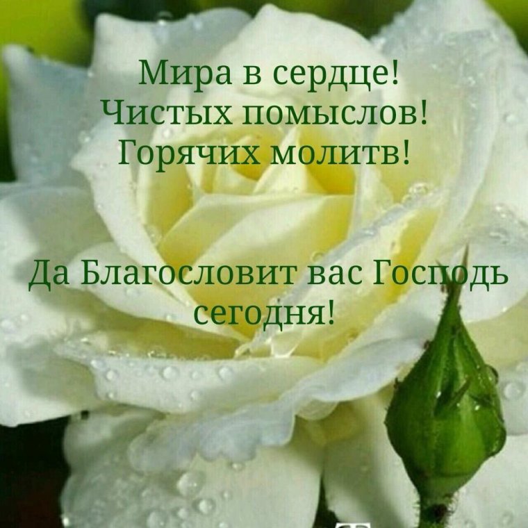 Пусть Господь благословит тебя