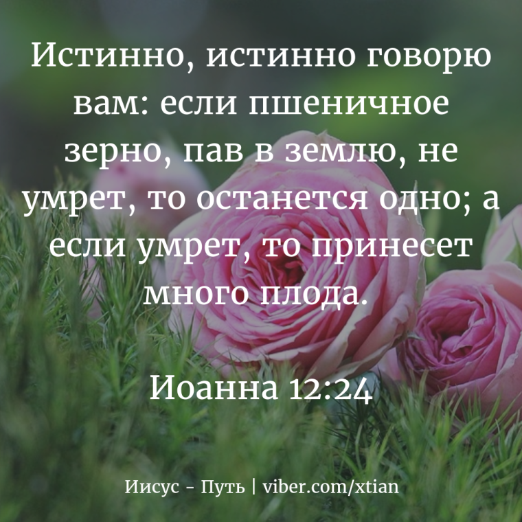 Библейские стихи на день рождения