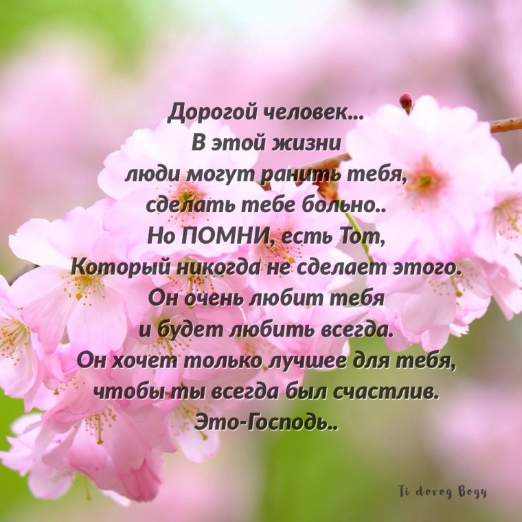 Христианские стихи из Библии