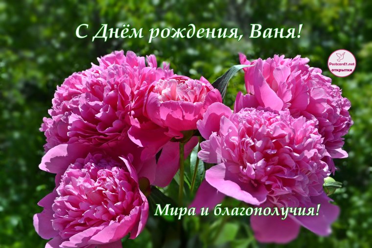 Поздравления с днём рождения Ивана