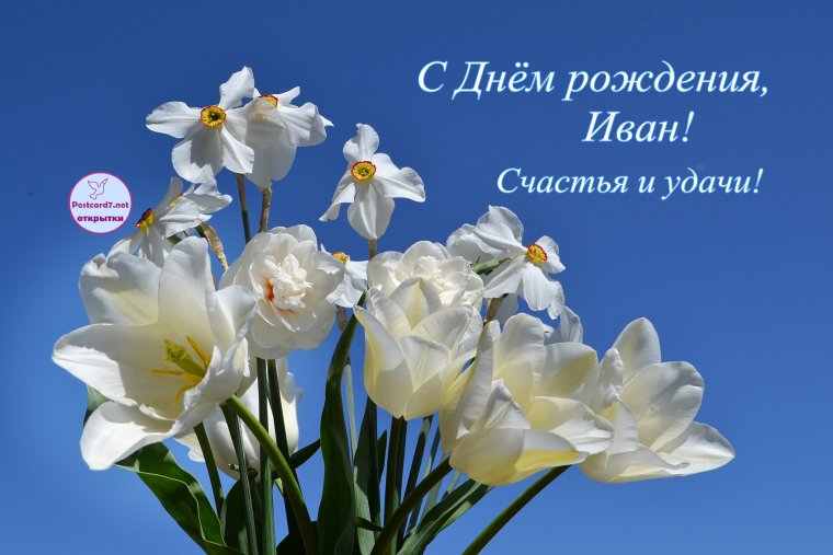 С днём рождения Иван открытки