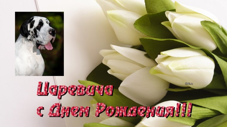 Иван Царевич с днем рождения