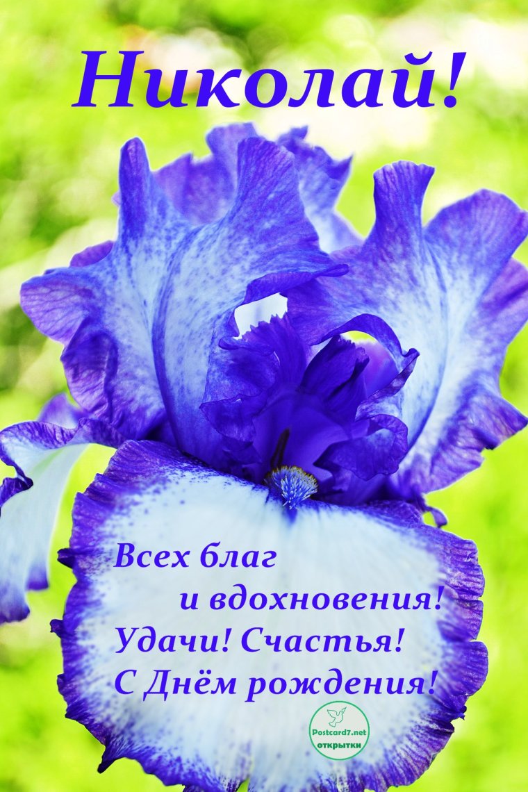 С днем рождения гтколац
