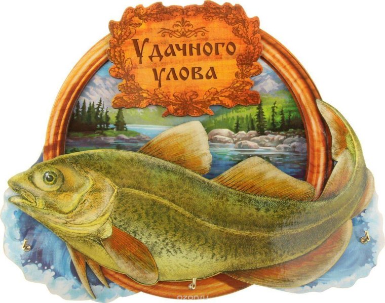 С днём рыбака поздравления