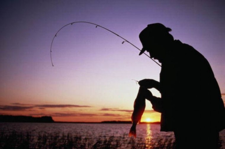 Художник Robert Copple