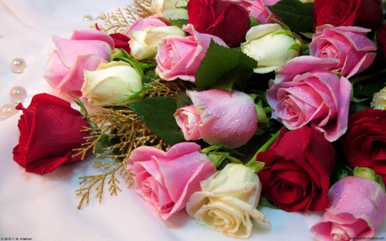 Красивые открытки