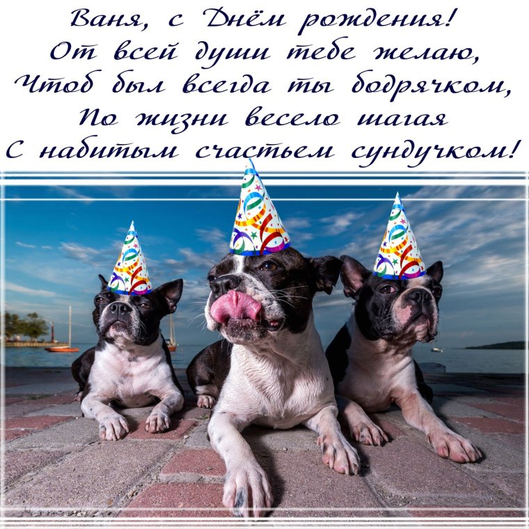 Поздравления с днём рождения