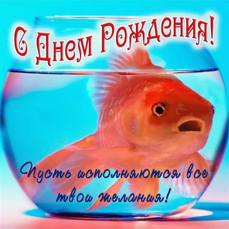 С днём рождения рыбаку