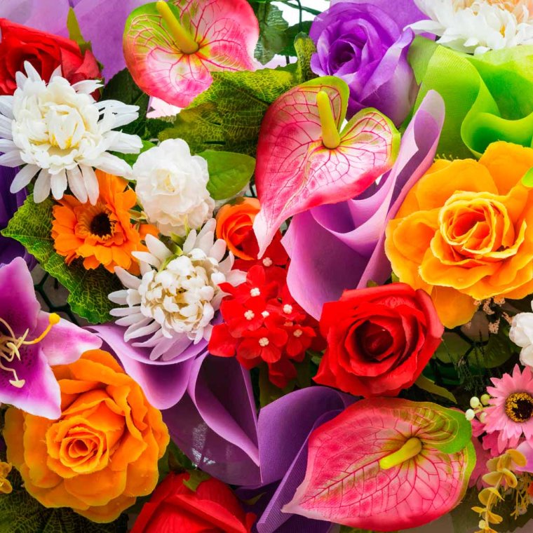 Цветы для красивой яркой женщины