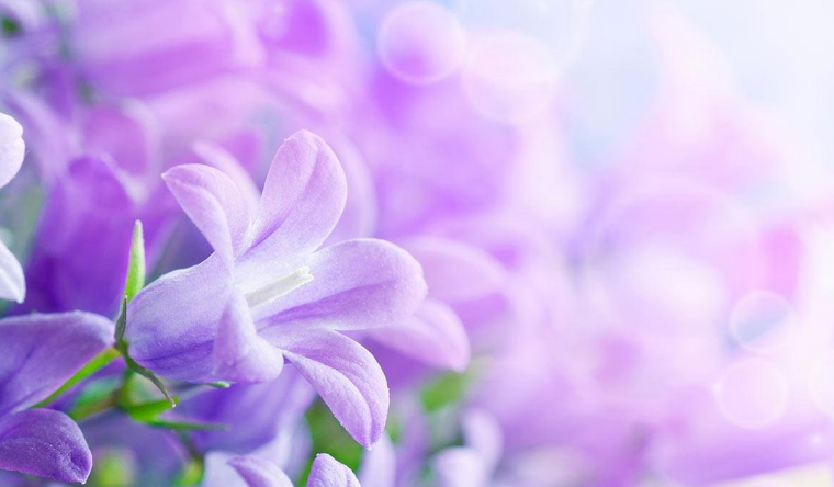 С днем рождения