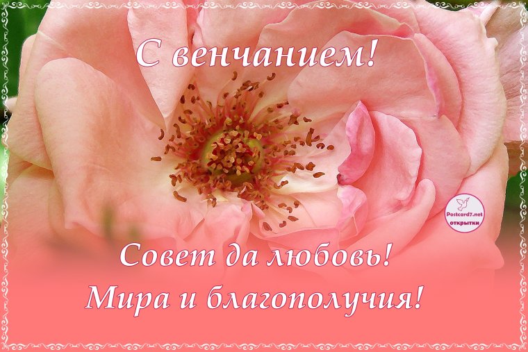 Поздравляю с таинством венчания