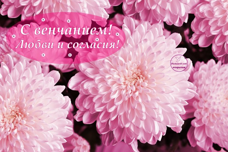С годовщиной венчания