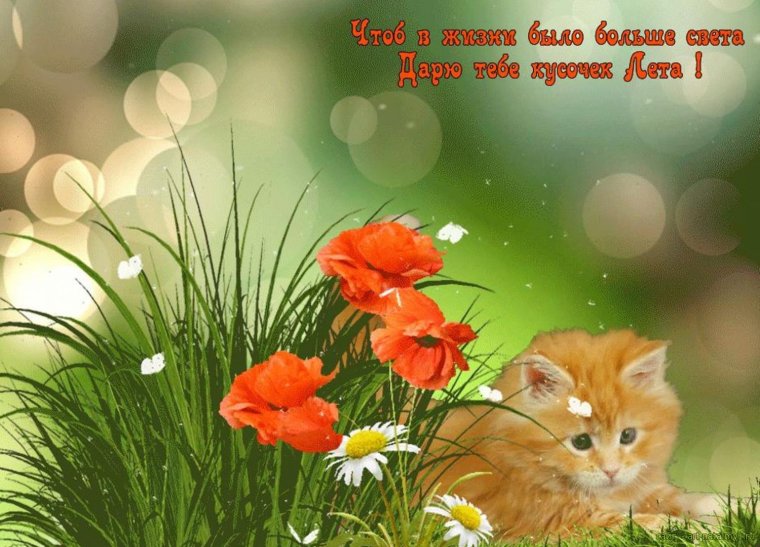 Позитивчик для хорошего настроения