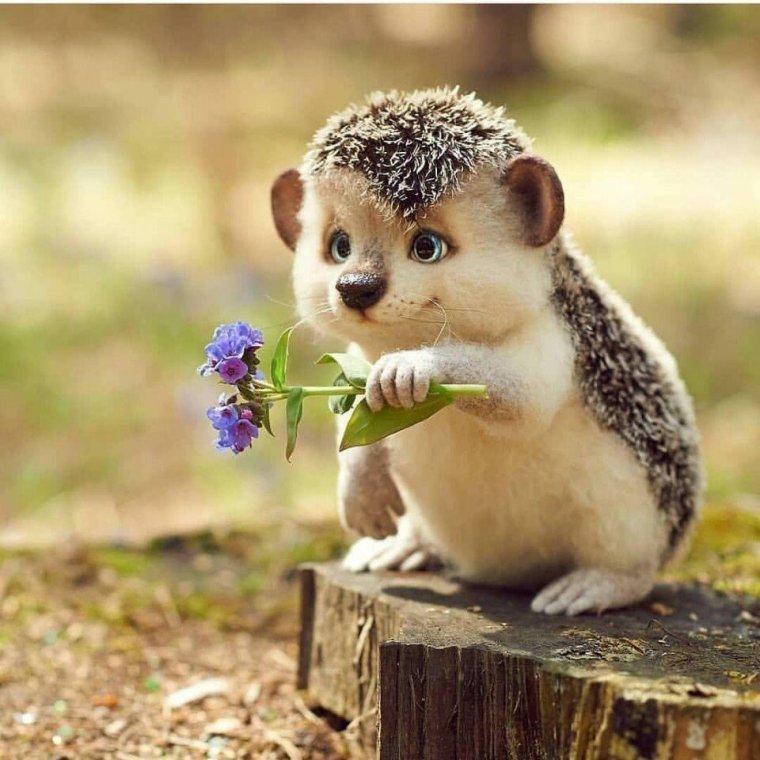 Высказывания про настроение