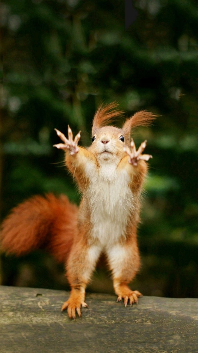 Открытки смешные для поднятия настроения с юмором