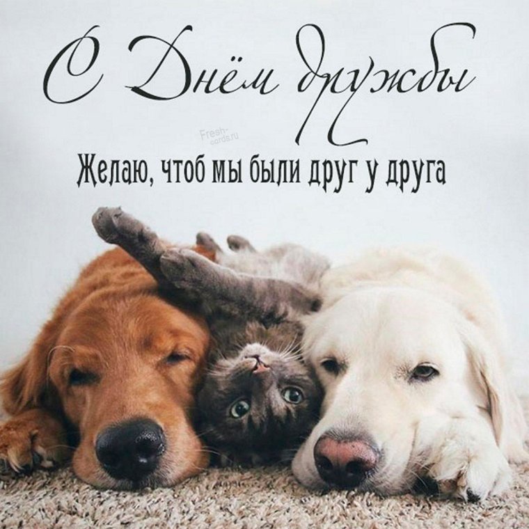 День объятий