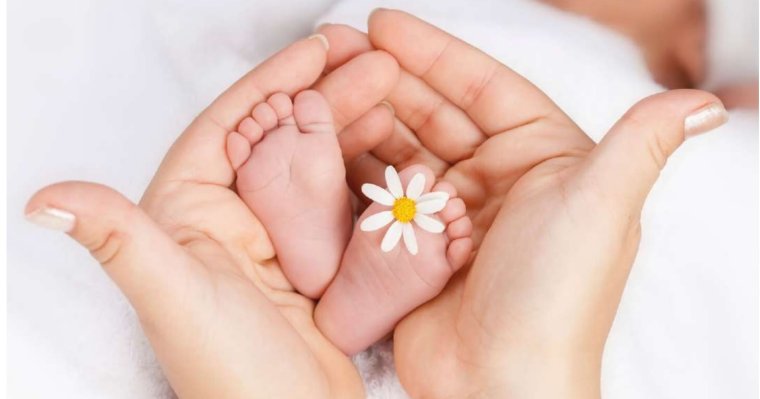 День белых лепестков