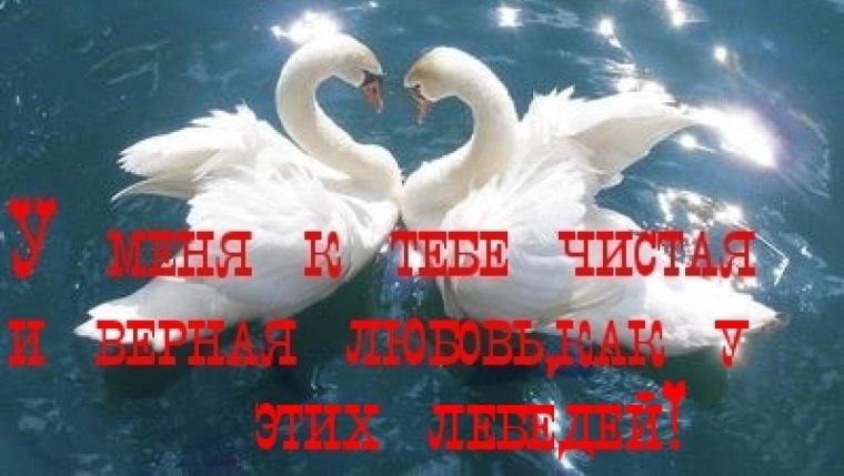 С днем влюбленных открытки