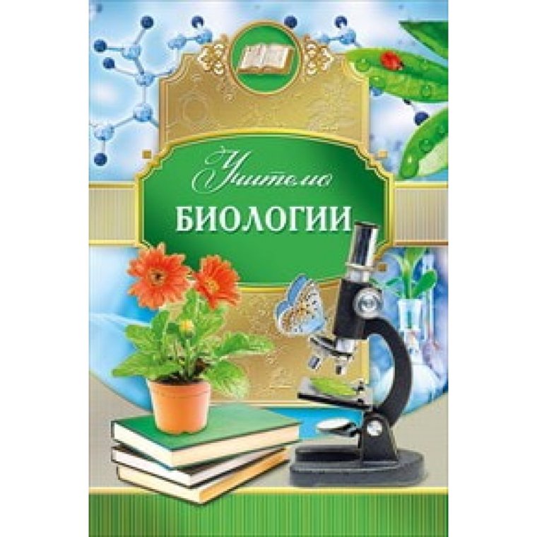 Благодарность учителю