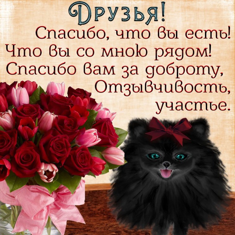 Спасибо друзья