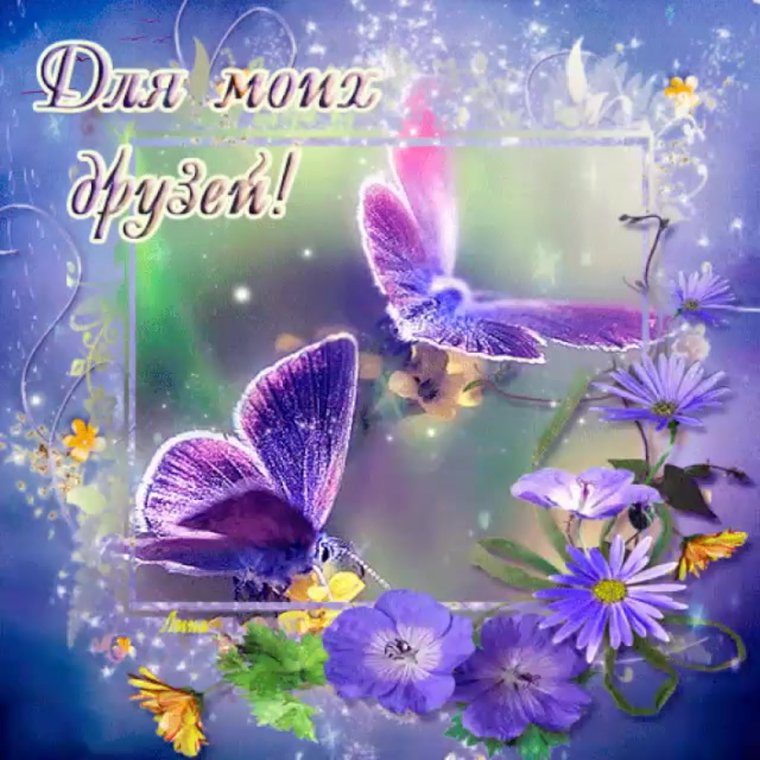 Открытки анимации бесплатно друзьями