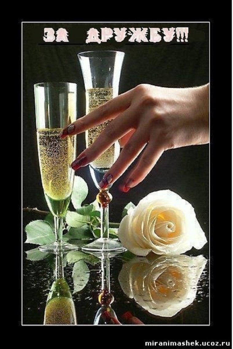 Поднимем бокалы за дружбу