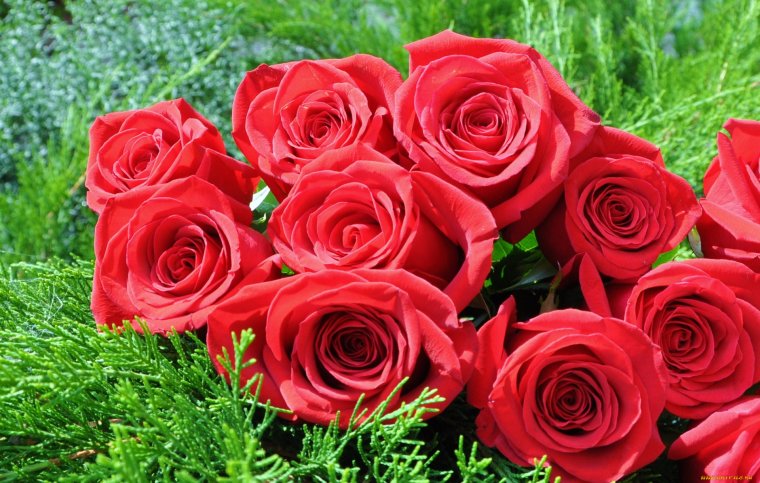 Открытки мне очень приятно