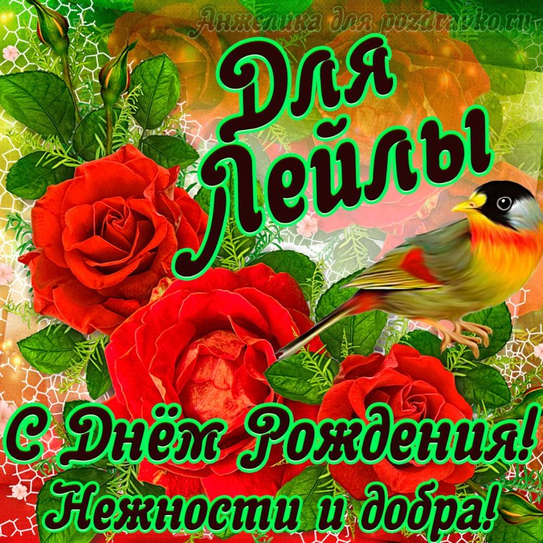 Поздравить Лейлу с днем рождения