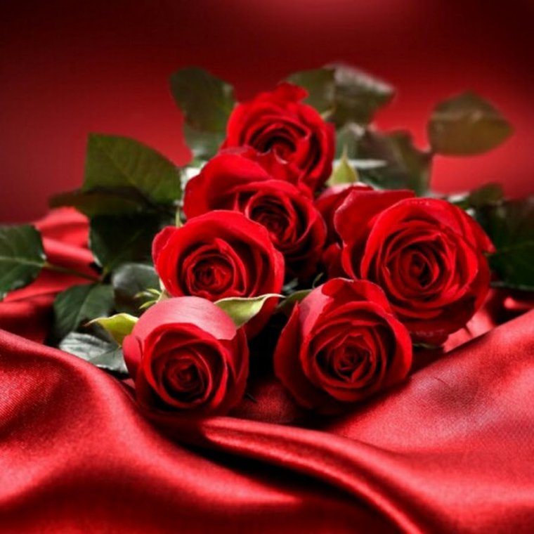 Живые открытки с днем рождения