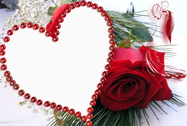 Колибри Казань