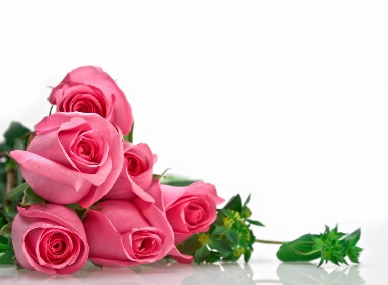 Поздравления с днём рождения женщине в прозе