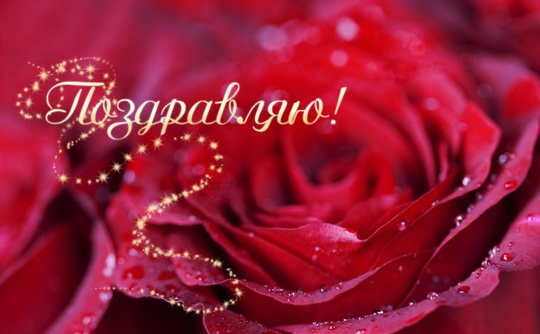 Открытки с розами