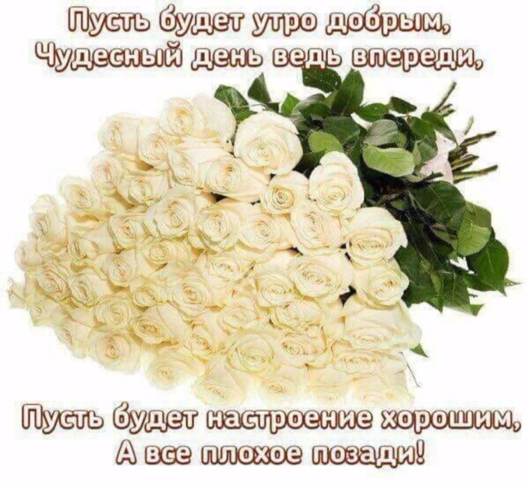 Букет белых роз с пожеланиями