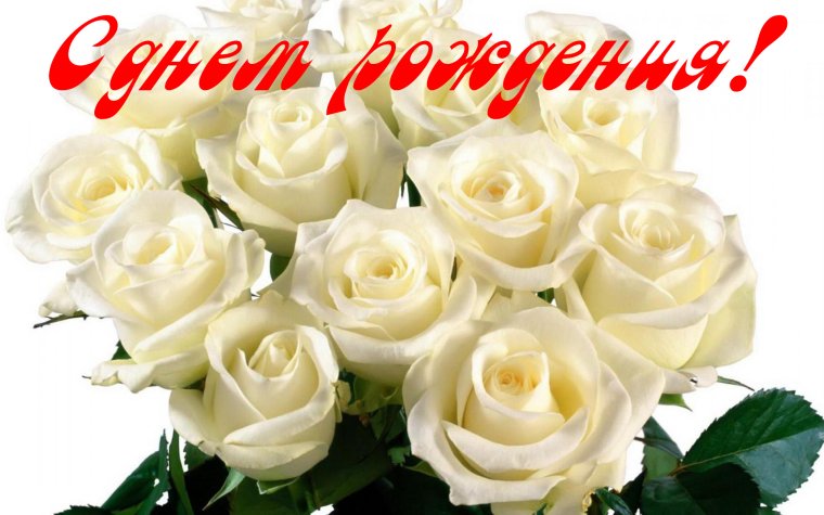 Белые розы