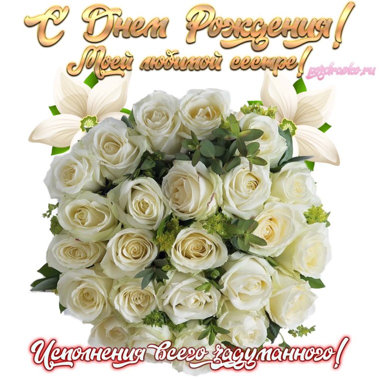 Открытки с днём рождения женщине белые розы
